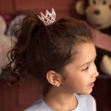 Заколка большая Андерсен "Заветное желание"