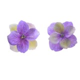 Резинка малая 2шт "Барселона" Malina by Андерсен 12113рм60