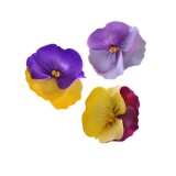 Резинка малая 3шт "Брюссель" Malina by Андерсен 12102рм50 Резинка малая 3шт "Брюссель" Malina by Андерсен 12102рм50